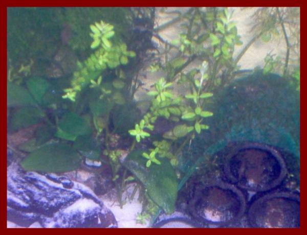 100 liters018
