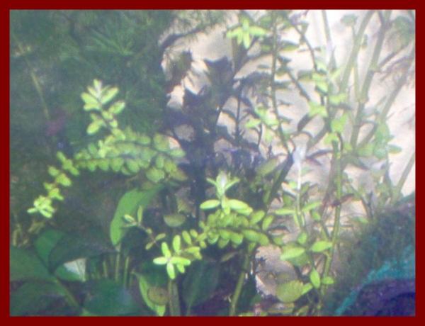 100 liters019