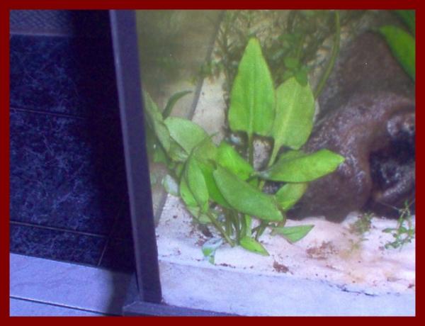 100 liters021