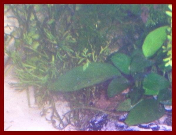 100 liters024