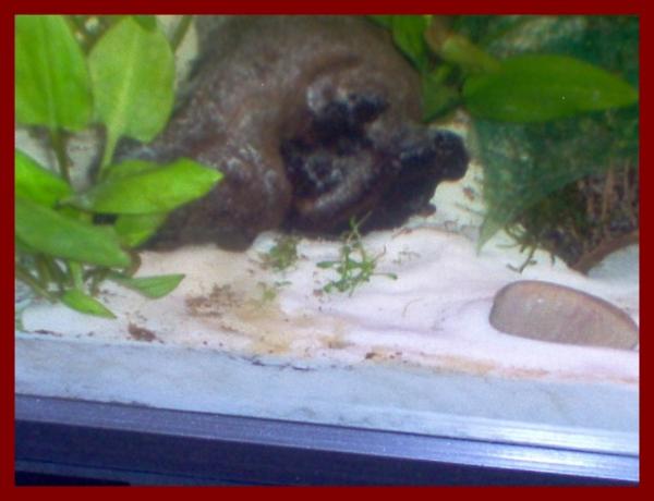 100 liters025