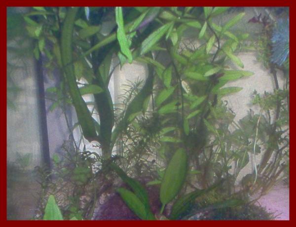 100 liters026