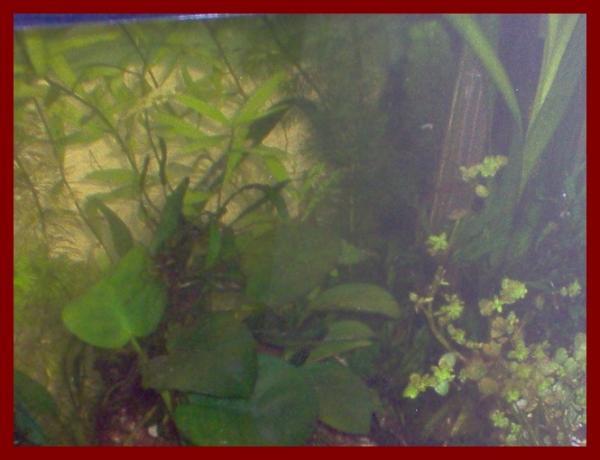 100 liters027
