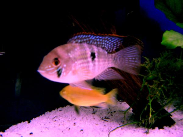 DSC01085