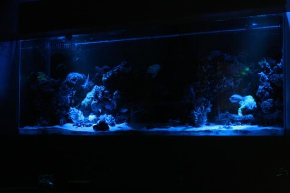 IMG 0920