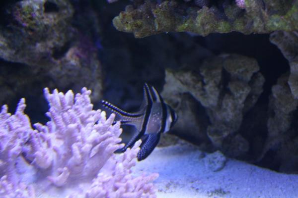 IMG 0839