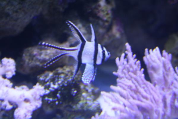IMG 0393