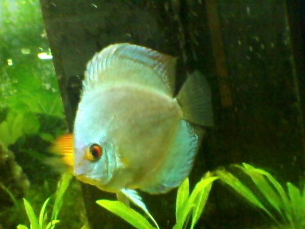 Photo 0015
