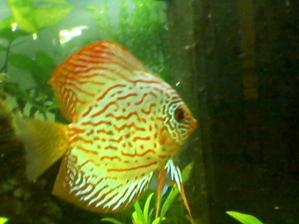Photo 0016