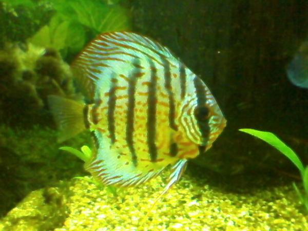Photo 0034