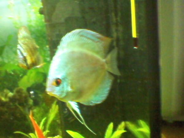 Photo 0020