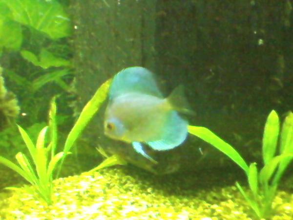 Photo 0024