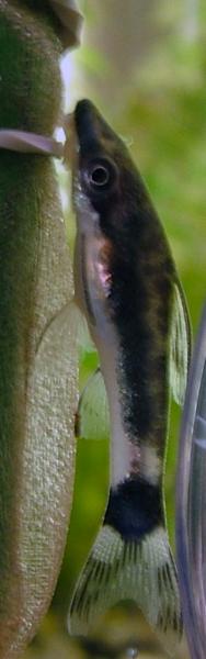 DSCF3521