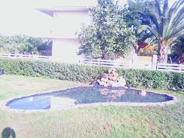 DSC00033