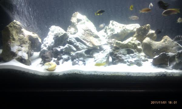 IMAG0226
