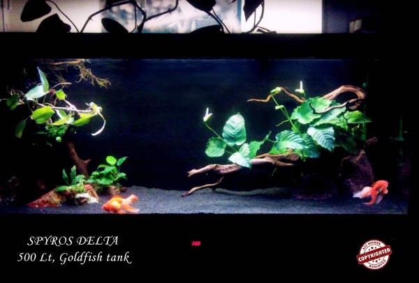 500 Lt. Goldfish Tank