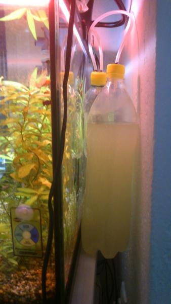  DIY CO2.  2014